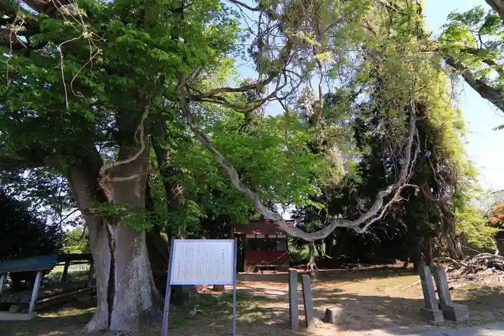 藤稲荷神社の景色