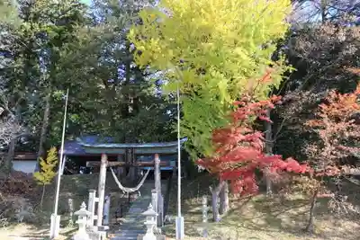 城山八幡神社の鳥居