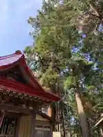 白山神社の本殿・本堂