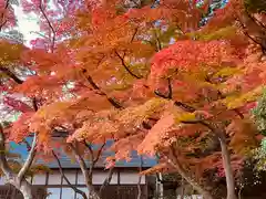 志波彦神社・鹽竈神社の自然