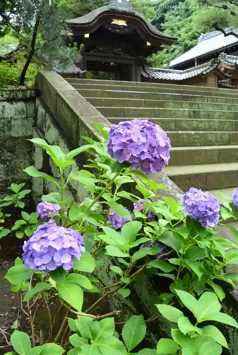 円覚寺(神奈川県)