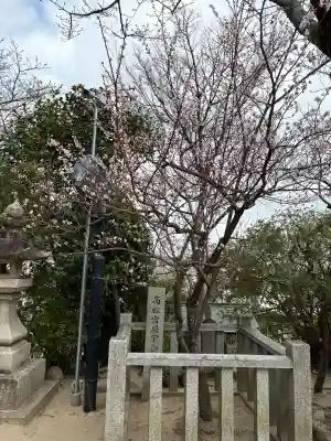 妙光院の{uncategorized: "未分類", other: "その他", undefined: "問題あり", building: "その他建物", grave: "お墓", sacred_gate: "鳥居", guardian: "狛犬", statue: "像", buddha: "仏像", history: "歴史", nature: "自然", garden: "庭園", animal: "動物", pagoda: "塔", temizu: "手水舎", mountain_gate: "山門・神門", sanctuary: "本殿・本堂", subordinate: "末社・摂社", art: "芸術", scenery: "景色", jizo: "地蔵", ema: "絵馬", goshuin: "御朱印", omikuji: "おみくじ", items: "授与品その他", amulet: "お守り", goshuincho: "御朱印帳", eats: "食事", festival: "お祭り", votive_dance: "神楽", shichigosan: "七五三参", wedding: "結婚式", experience: "体験その他", initially: "初詣", around: "周辺", anti_infection: "感染症対策"}