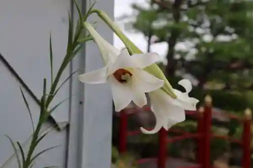 大鏑神社の庭園