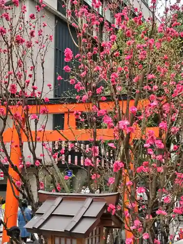 福徳神社（芽吹稲荷）の自然