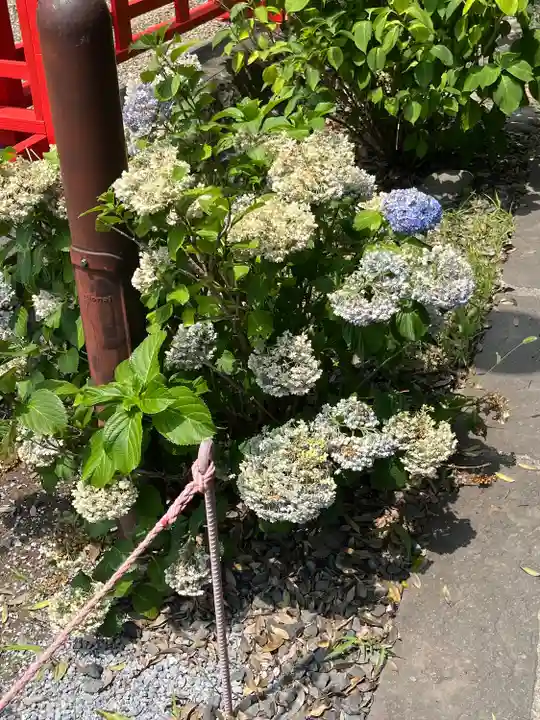朝日氷川神社(埼玉県)