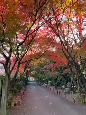 高円寺(東京都)