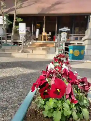 高円寺氷川神社のその他建物