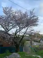 善福寺(千葉県)