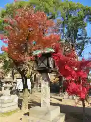 那古野神社の建物その他