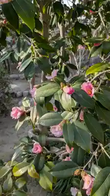 青蓮寺(大阪府)