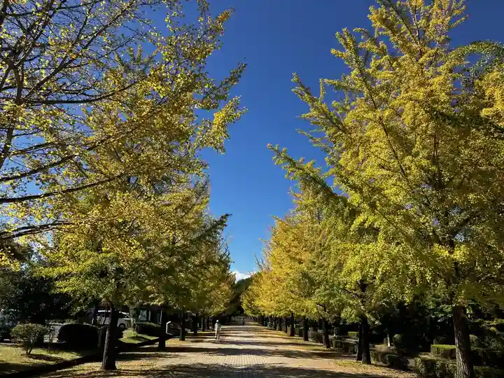 【公式】龍門院常楽寺(秩父札所十一番)の自然