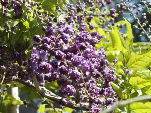 志那神社のその他建物