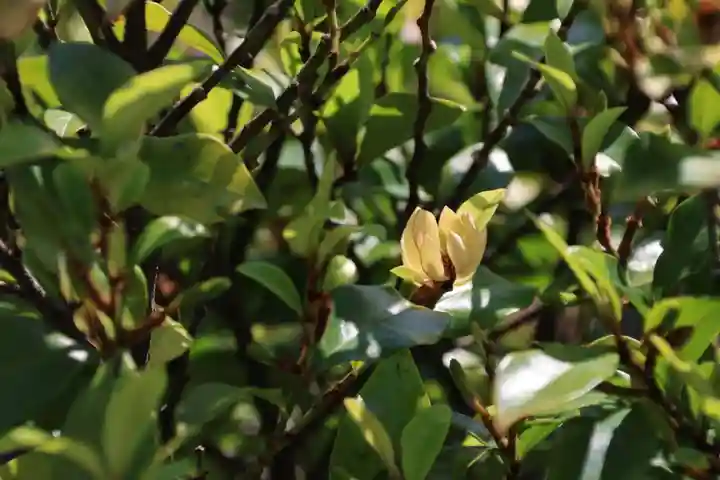 阿邪訶根神社の庭園