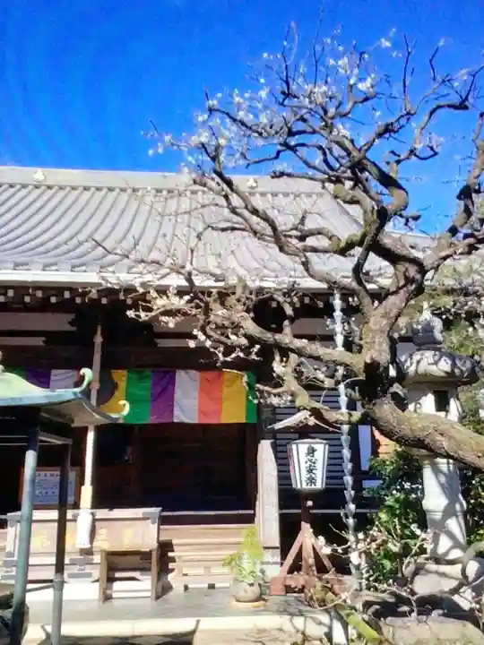 常性寺(東京都)