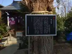 筑土八幡神社(東京都)