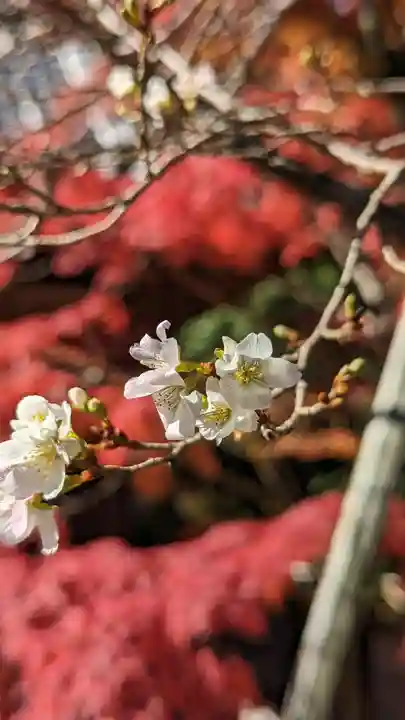 赤山禅院(京都府)