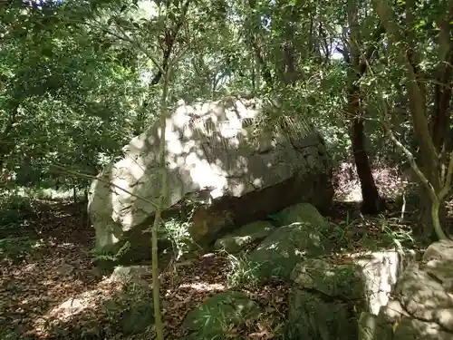 保久良神社の自然