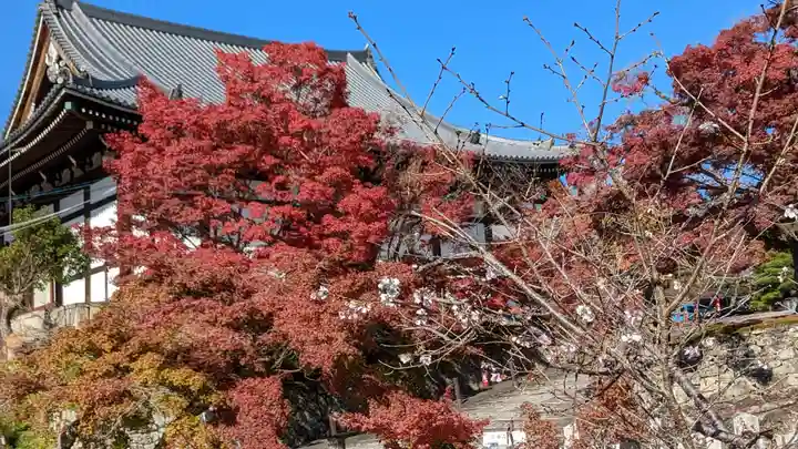 くろ谷 金戒光明寺(京都府)