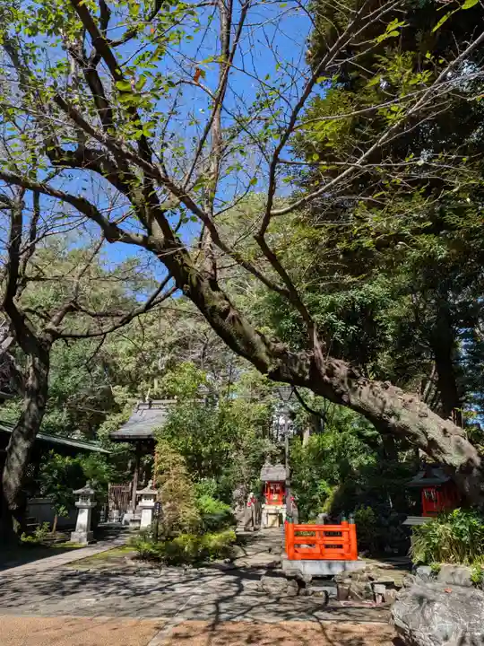 熊野神社(東京都)