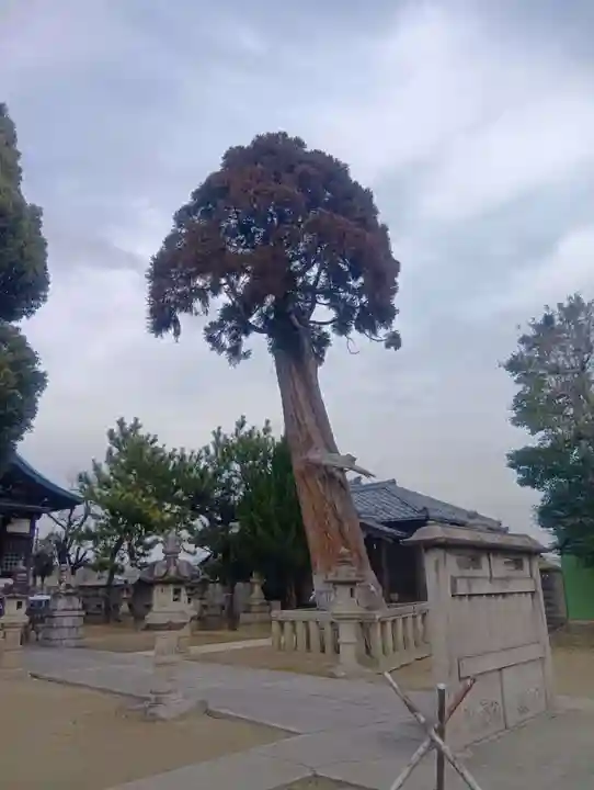 八剱神社(更屋敷)(愛知県)