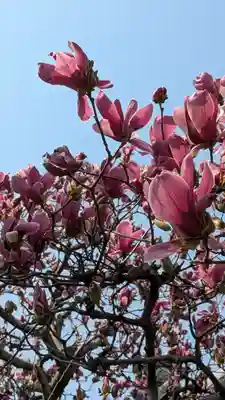 光徳寺(大阪府)