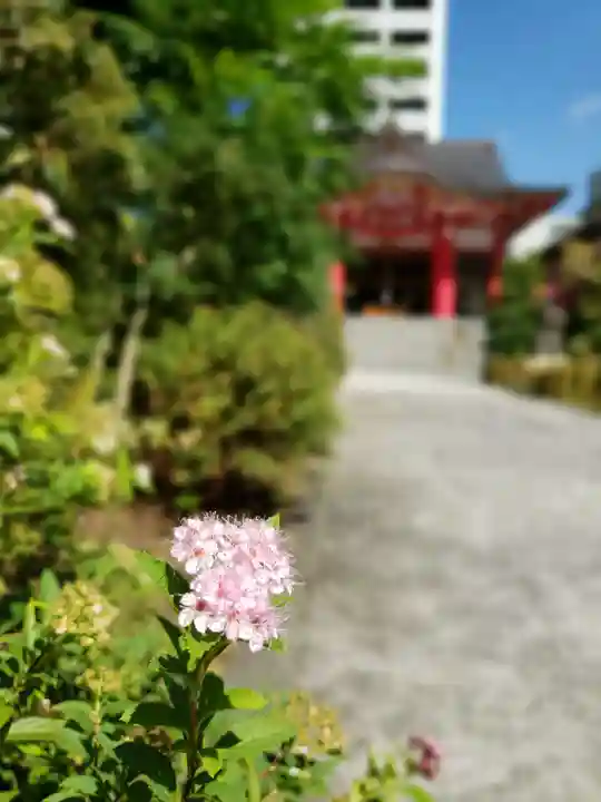 成子天神社(東京都)
