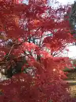 奥石神社の自然