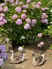 楽法寺（雨引観音）の動物