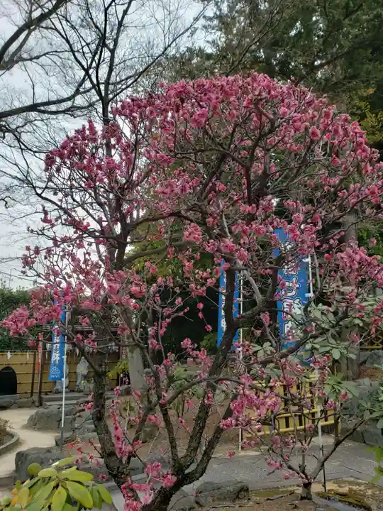 中野沼袋氷川神社(東京都)