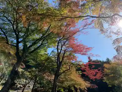 普門寺(切り絵御朱印発祥の寺)(愛知県)