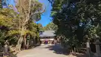 雙栗神社(京都府)
