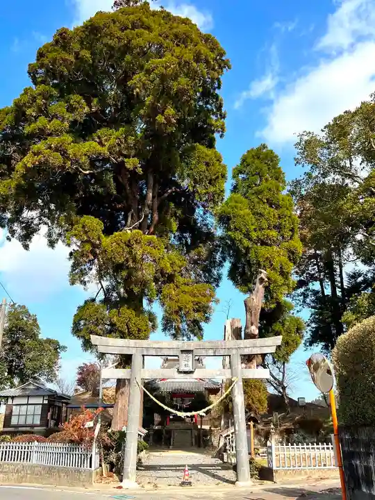 興玉神社(宮崎県)