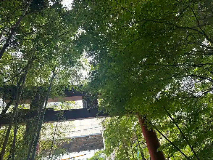 來宮神社の{uncategorized: "未分類", other: "その他", undefined: "問題あり", building: "その他建物", grave: "お墓", sacred_gate: "鳥居", guardian: "狛犬", statue: "像", buddha: "仏像", history: "歴史", nature: "自然", garden: "庭園", animal: "動物", pagoda: "塔", temizu: "手水舎", mountain_gate: "山門・神門", sanctuary: "本殿・本堂", subordinate: "末社・摂社", art: "芸術", scenery: "景色", jizo: "地蔵", ema: "絵馬", goshuin: "御朱印", omikuji: "おみくじ", items: "授与品その他", amulet: "お守り", goshuincho: "御朱印帳", eats: "食事", festival: "お祭り", votive_dance: "神楽", shichigosan: "七五三参", wedding: "結婚式", experience: "体験その他", initially: "初詣", around: "周辺", anti_infection: "感染症対策"}