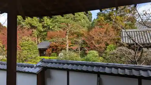 雲龍院(京都府)
