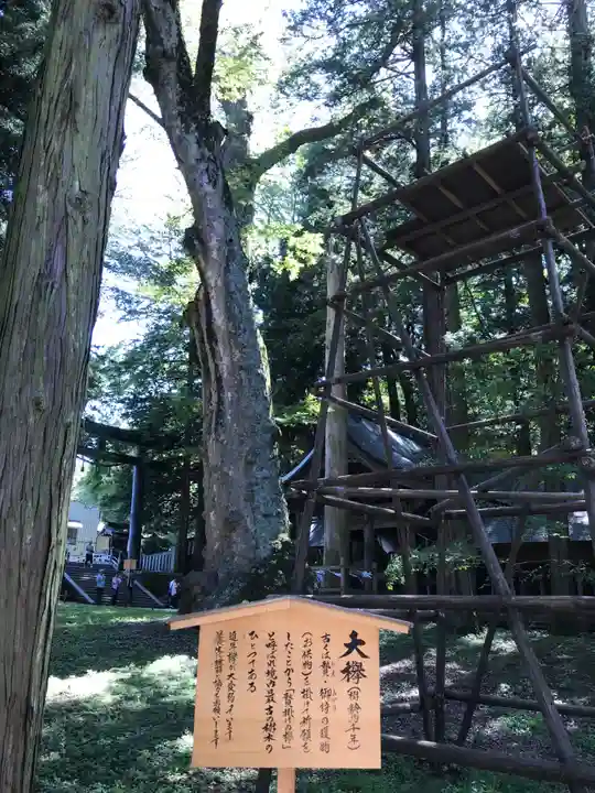 諏訪大社の歴史