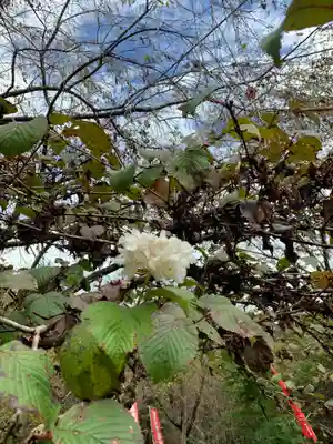 日光ぽっくり地蔵　等泉寺の自然