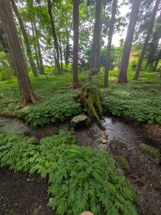 富士山東口本宮 冨士浅間神社(静岡県)