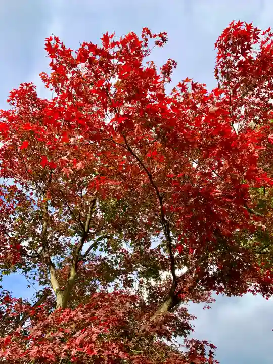 櫻岡大神宮(宮城県)