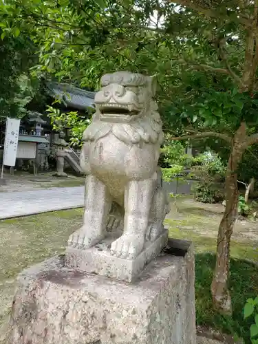 白山比咩神社の狛犬