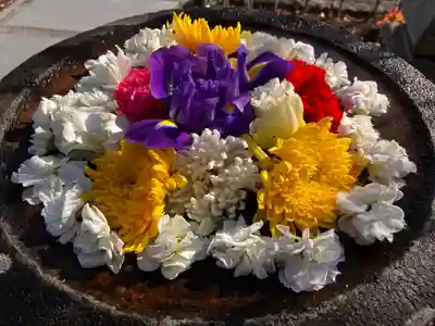 真言宗　善通寺派　薬王寺(香川県)