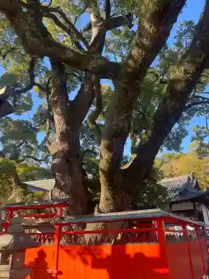 龍田神社(奈良県)
