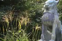 神炊館神社 ⁂奥州須賀川総鎮守⁂の自然