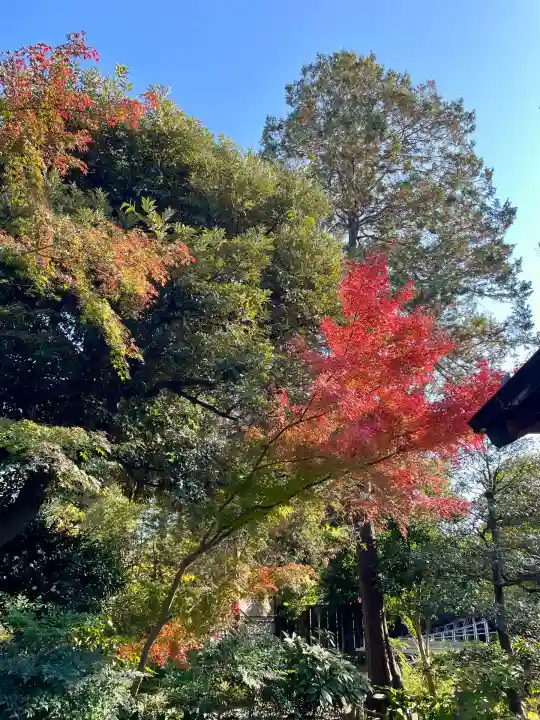 多賀神社(東京都)