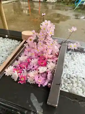 根岸八幡神社(神奈川県)