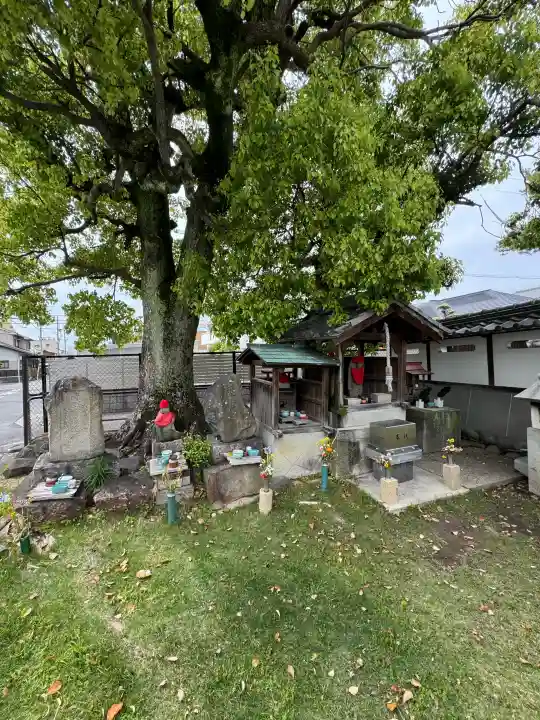 清学寺の{uncategorized: "未分類", other: "その他", undefined: "問題あり", building: "その他建物", grave: "お墓", sacred_gate: "鳥居", guardian: "狛犬", statue: "像", buddha: "仏像", history: "歴史", nature: "自然", garden: "庭園", animal: "動物", pagoda: "塔", temizu: "手水舎", mountain_gate: "山門・神門", sanctuary: "本殿・本堂", subordinate: "末社・摂社", art: "芸術", scenery: "景色", jizo: "地蔵", ema: "絵馬", goshuin: "御朱印", omikuji: "おみくじ", items: "授与品その他", amulet: "お守り", goshuincho: "御朱印帳", eats: "食事", festival: "お祭り", votive_dance: "神楽", shichigosan: "七五三参", wedding: "結婚式", experience: "体験その他", initially: "初詣", around: "周辺", anti_infection: "感染症対策"}