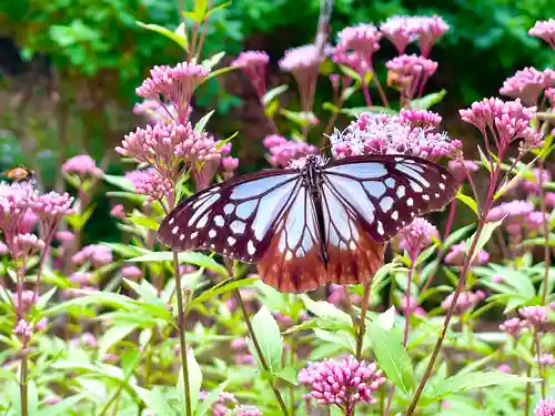 播州清水寺(兵庫県)