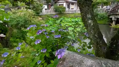 くろ谷 金戒光明寺(京都府)