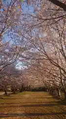 貴船神社の自然