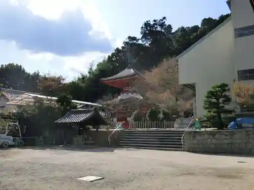 金剛寺の庭園