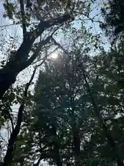 野木神社(栃木県)